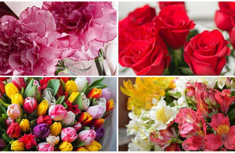 Methods of Flower Surprises Your Wife Will Love