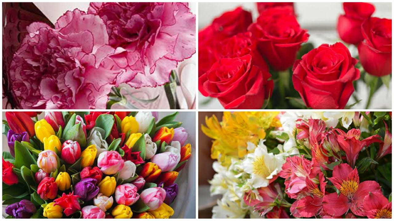 Methods of Flower Surprises Your Wife Will Love